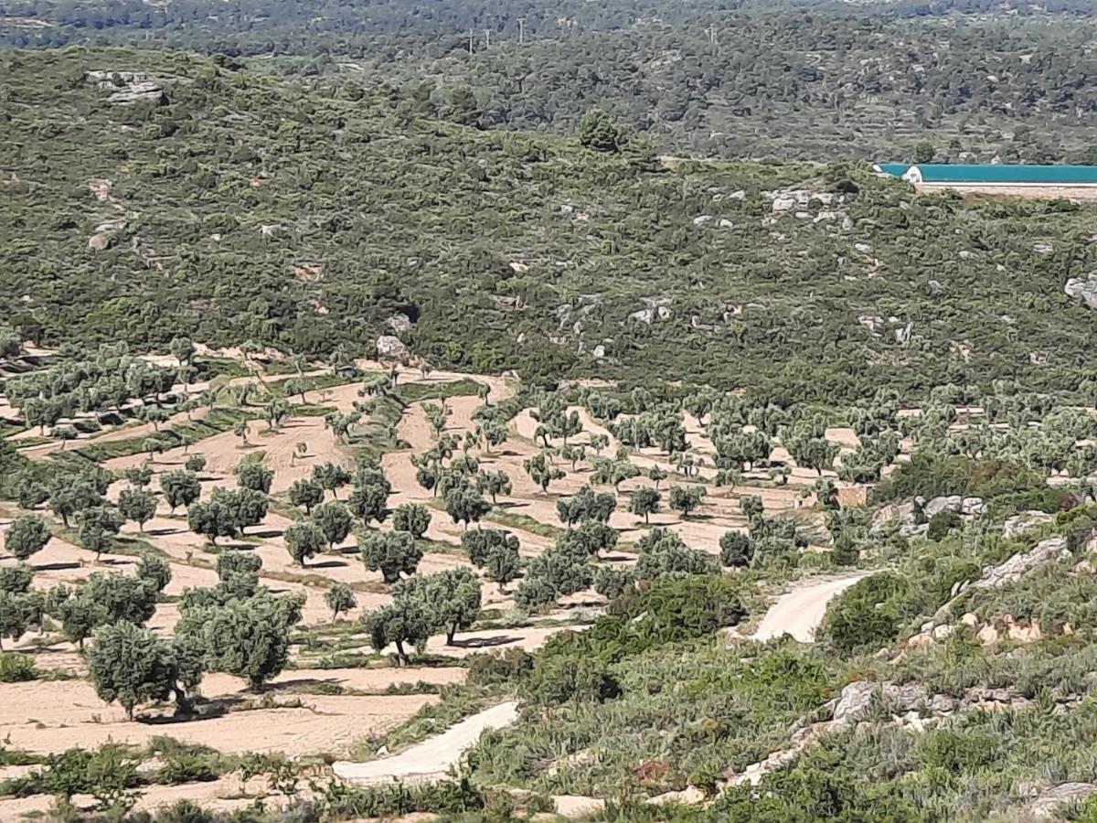 Maella Campo Golden Heritage מראה חיצוני תמונה
