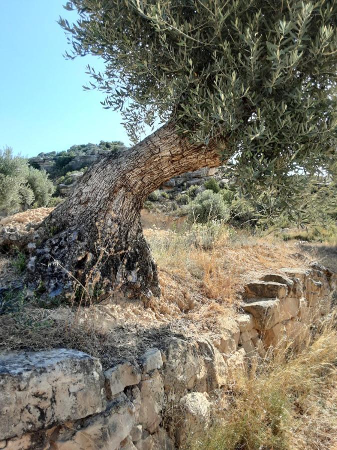 Maella Campo Golden Heritage מראה חיצוני תמונה