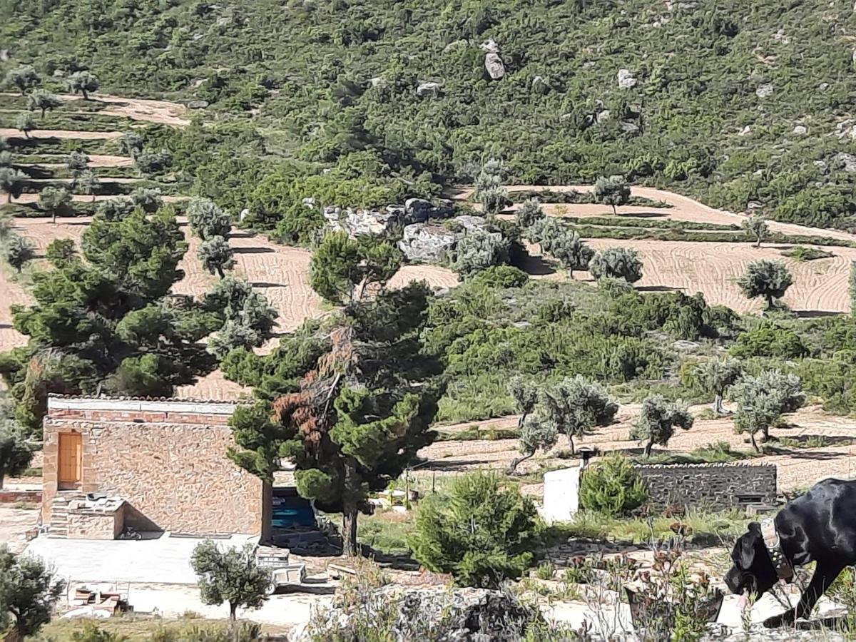 Maella Campo Golden Heritage מראה חיצוני תמונה